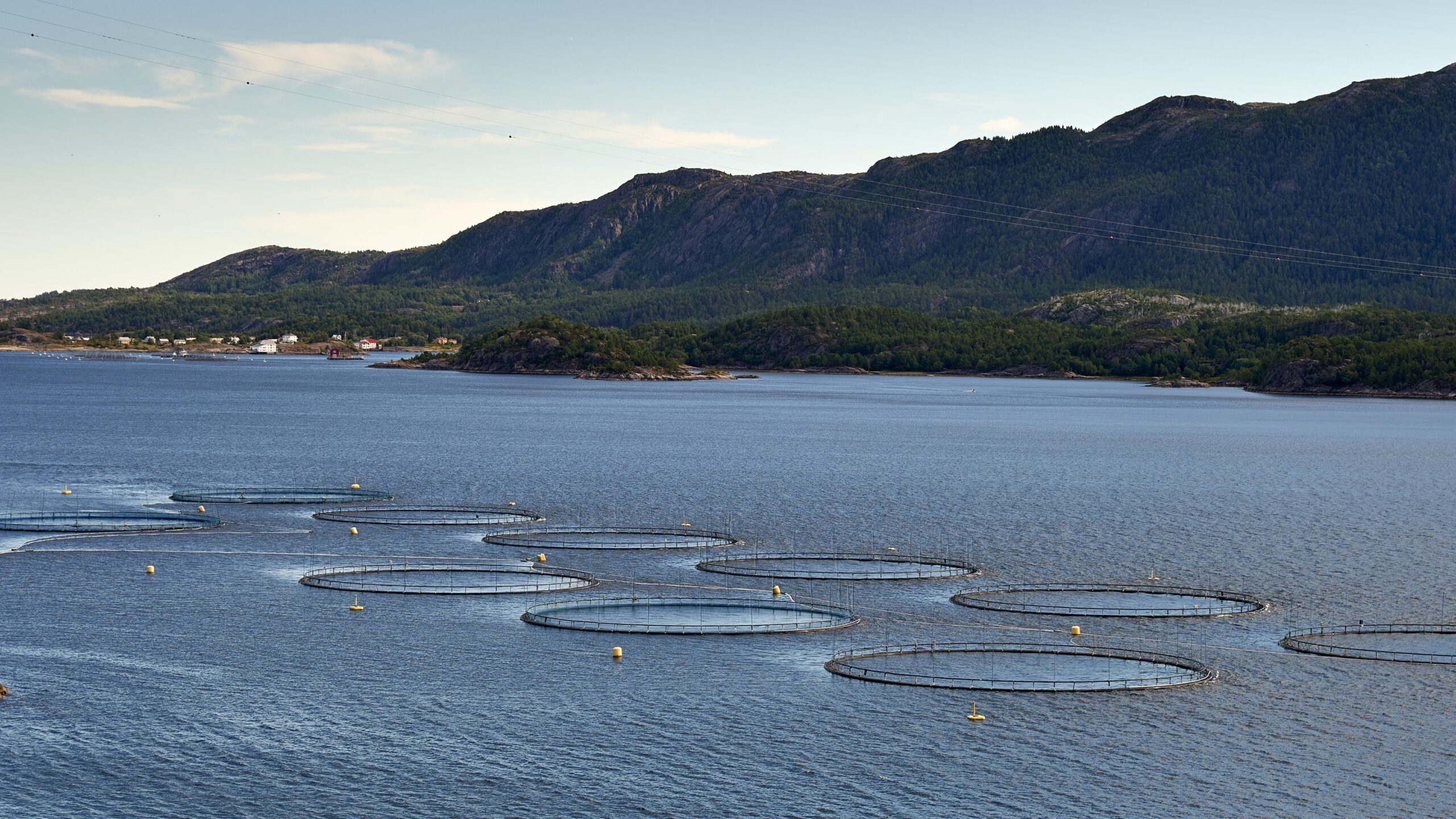 Shangoni Gate Development DRAFT AQUACULTURE DEVELOPMENT BILL 2023: FOR PUBLIC COMMENT - Shangoni